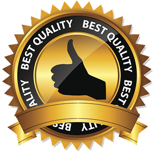 new standard logo