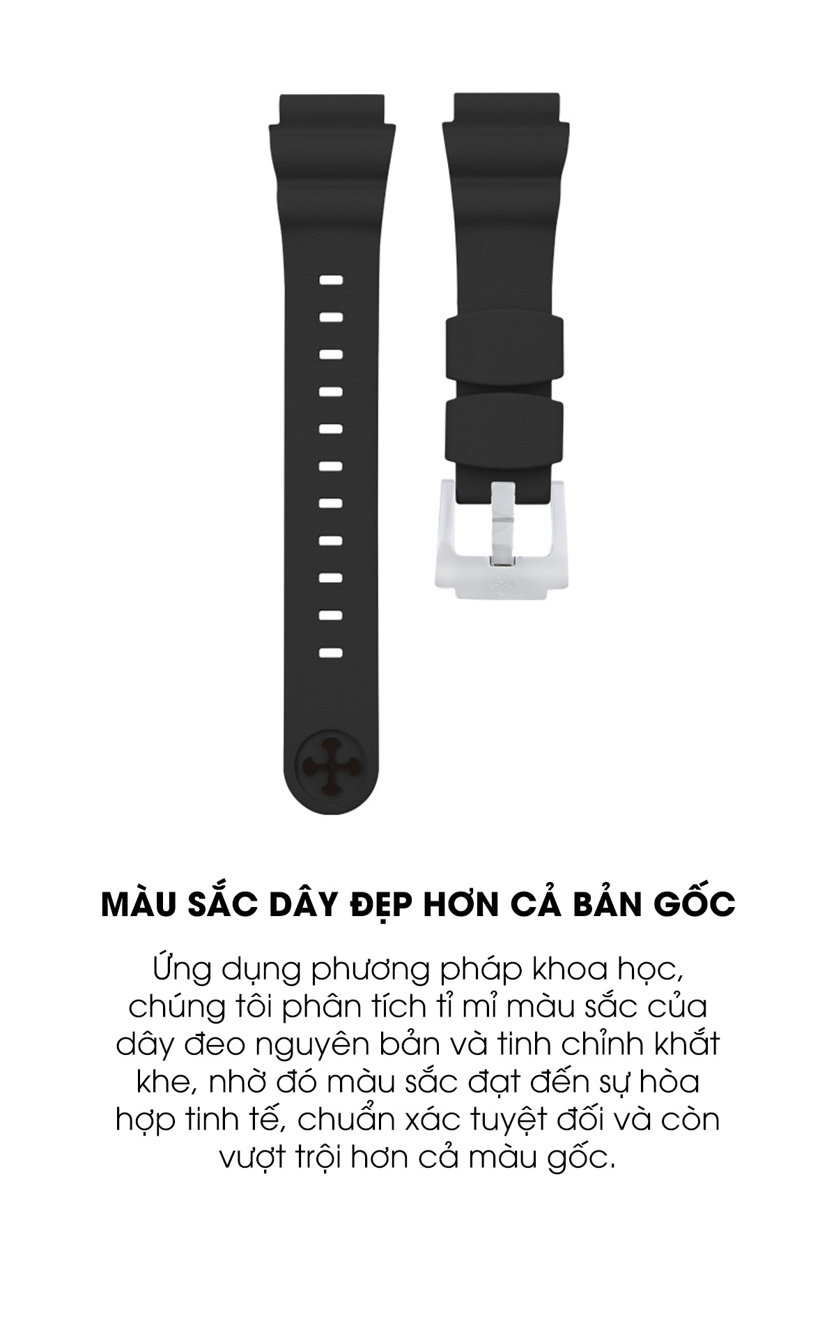 dac diem day seiko1