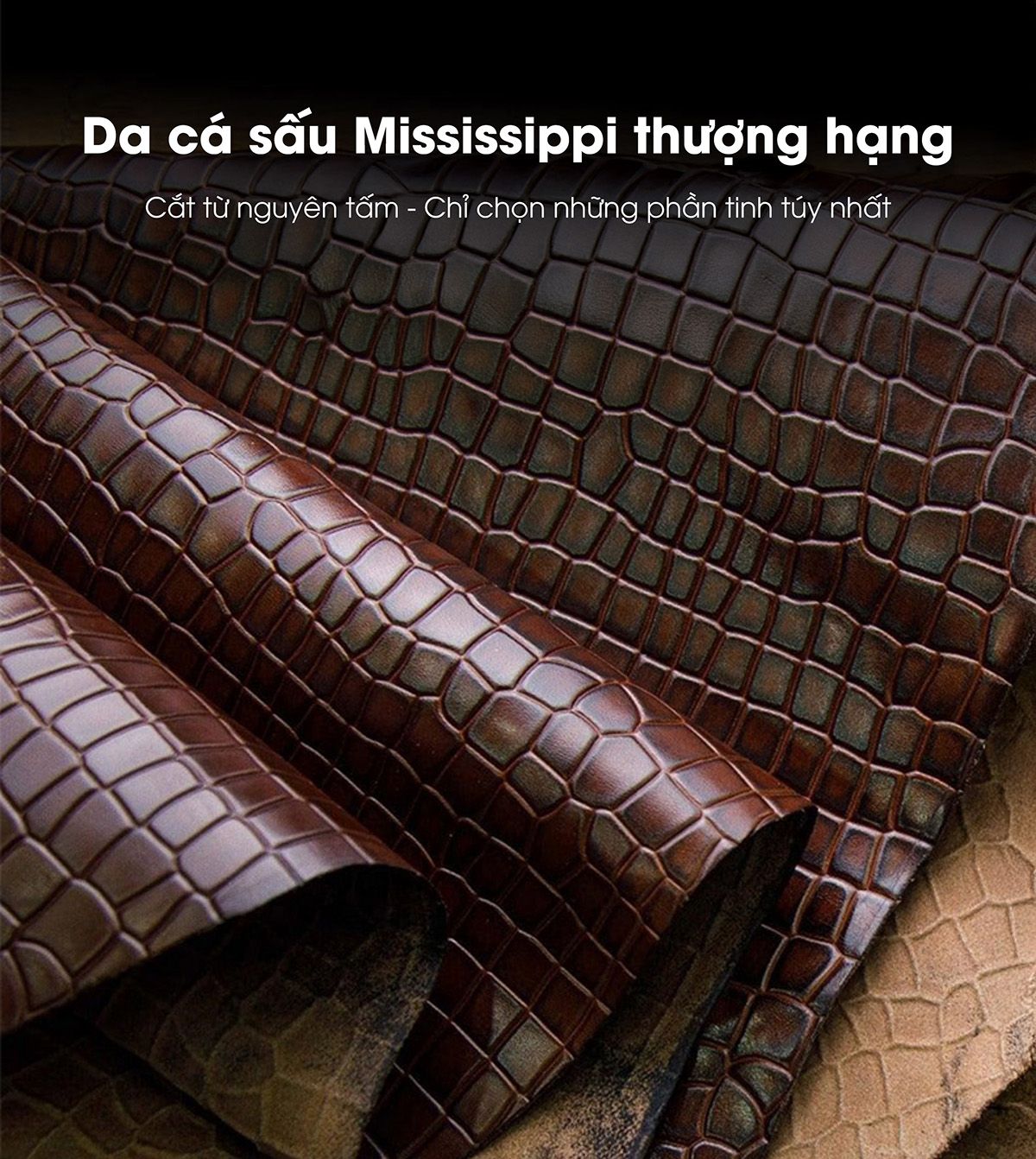 chat luong da ap10