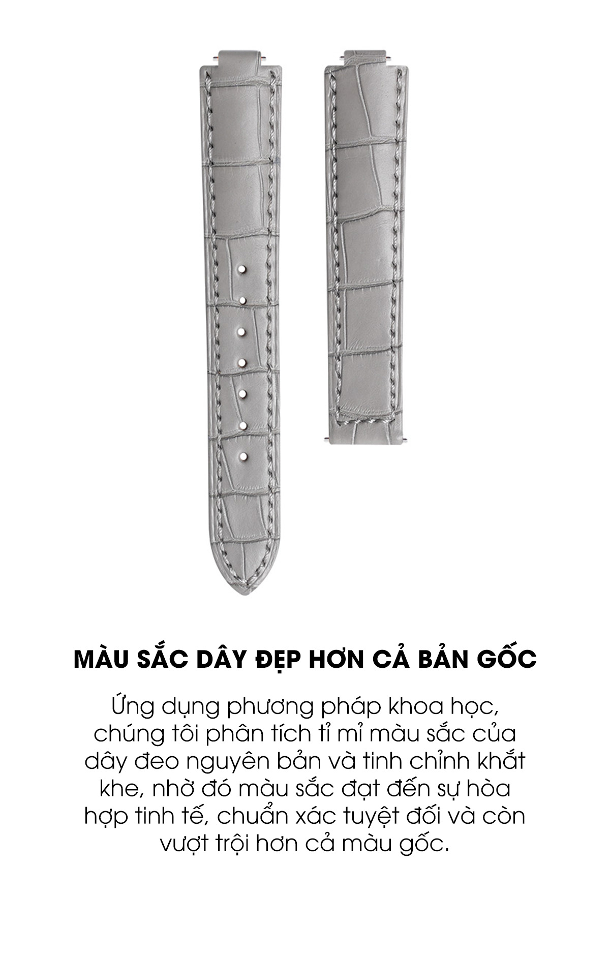 dac diem day cartier5